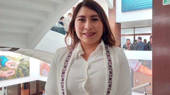 ¿A qué exfuncionarios de Ixmiquilpan investigan por contratos con empresas fantasma?