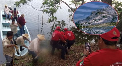 VIDEO: Cocodrilo nada con cadáver desmembrado en laguna de Tabasco