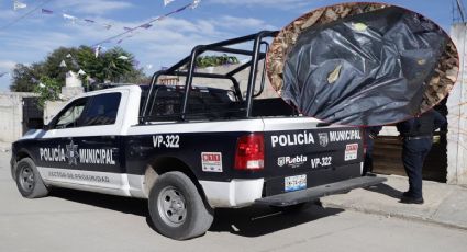 Hallan cadáver de bebé embolsado en Tehuacán; violencia al alza en este municipio