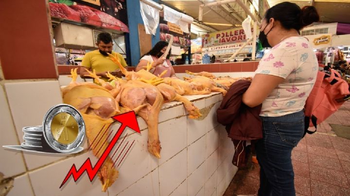 "Parece más un cementerio porque las ventas están muertas": Precio del pollo se dispara en Oaxaca