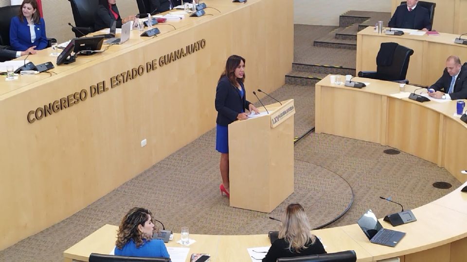 La iniciativa fue presentada por la diputada Susana Bermúdez.