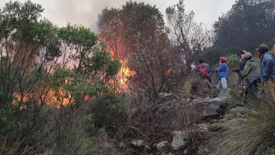 Autoridades y brigadas siguen combatiendo 4 incendios forestales