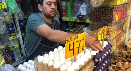 Kilo de huevo sube 50 centavos diario en Edoméx, alertan comerciantes