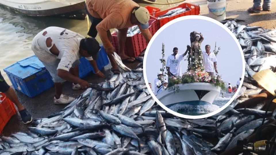 Pescadores celebran la captura de una tonelada de pez Sierra.