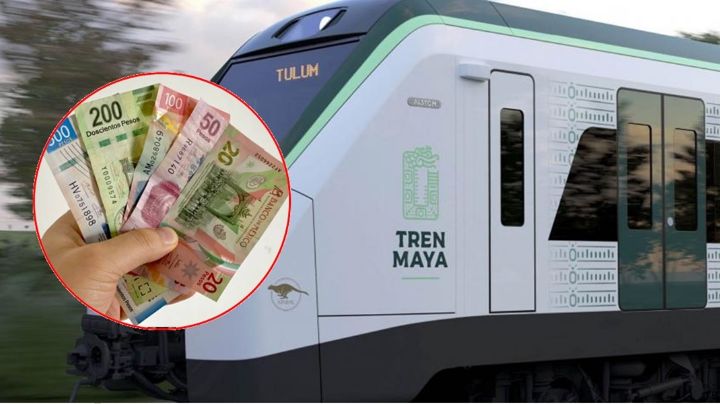 Irregularidades en Tren Maya suman más de 100,000 millones de pesos: ASF