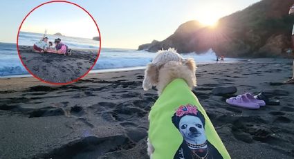 VIDEO: Familia da último adiós a perrita en la playa; estaba en fase terminal