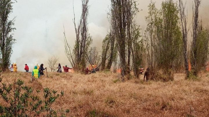 Se incendia el Parque Ecológico de Xochimilco