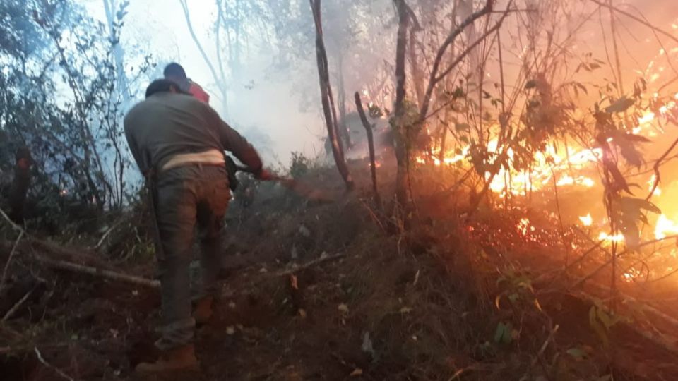 Registran fuerte incendio forestal en Tequila, zona centro de Veracruz