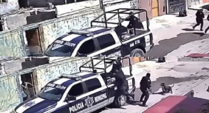 VIDEO | Cómplice de 4 Patas: Policías de Saltillo huyen de un pitbull; evitó un arresto