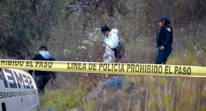 Muere hombre al caerle árbol mientras estaba en bosque de Hidalgo