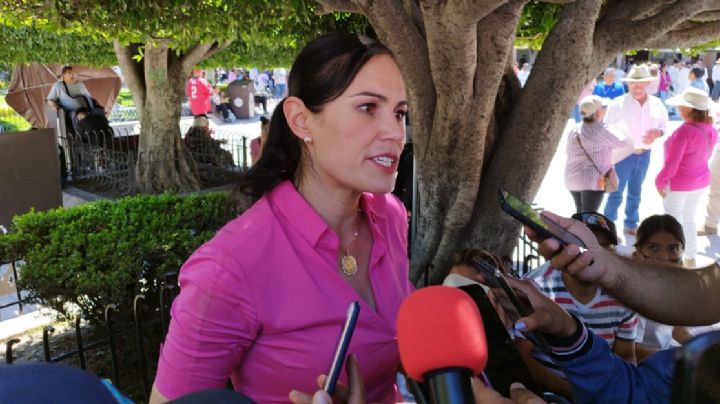 Presentan 75 municipios del PAN controversias por ley de Comunicación Social: Alejandra Gutiérrez