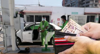 ¿No has verificado tu auto? Estos son los costos por hologramas en Hidalgo