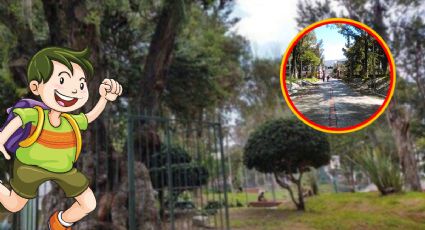 ¿Conoces la leyenda de Fracisquito, el niño del árbol en el Parque Hidalgo?