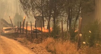 Virulentos incendios en Chile dejan 12 personas fallecidas
