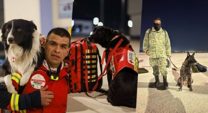 Conoce a los perritos rescatistas de la Cruz Roja, serán enviados a Turquía y Siria