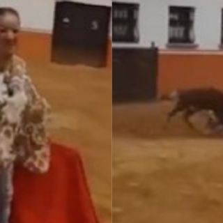 VIDEO: Senadora de Morena presume valentía y termina embestida por toro
