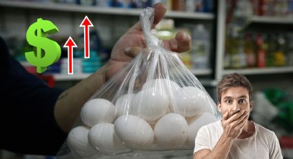 ¿Hasta cuándo bajará el precio del huevo? Ya supera los 50 pesos