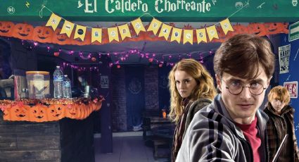 ¿Sabías que hay una dulcería sobre Harry Potter en Xalapa?