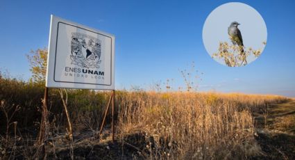 La UNAM construirá en León una reserva ecológica de matorral