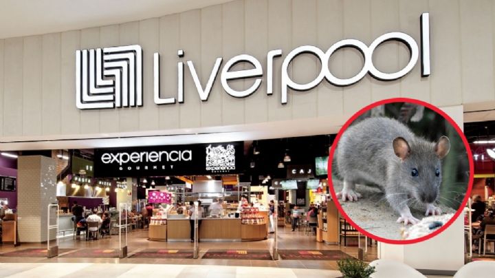 Las canciones que usa Liverpool para alertar que "la rata" anda en la tienda