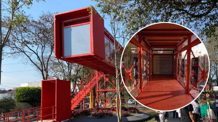 Puertas y escalones, memorial en Xalapa muestra lucha por desaparecidos