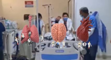 Salvando vidas: Menor de 14 años dona órganos en hospital de Tulancingo