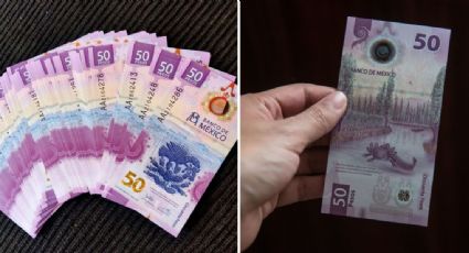 ¿Billetes de ajolote con valor de hasta 2 millones de pesos? Estas son las características