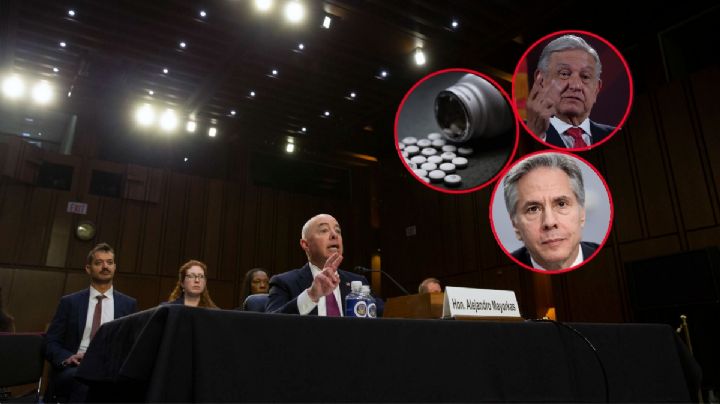 Mayorkas secunda a Blinken en que cárteles dominan zonas de México