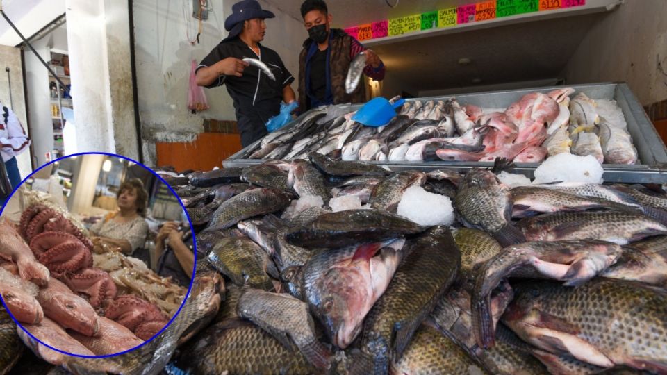 El mal manejo del pescado y marisco provocó que autoridades de Salud de Guanajuato desecharan 45 kilos de producto.