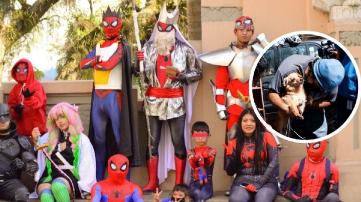 Cosplay con causa: Súper Amigos Xalapa hace colectas para perritos abandonados