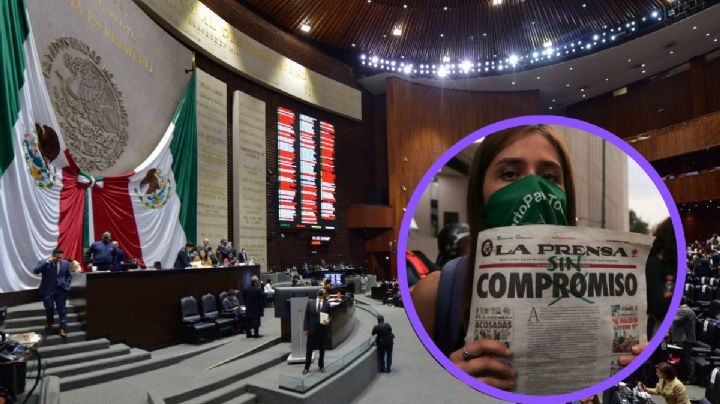 Ley Ingrid es anulada en el Estado de México, ¿por qué?