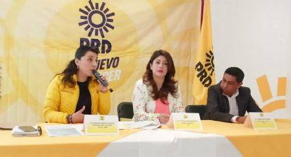 De esto acusa el PRD a Ana Karen Parra, presidenta de Derechos Humanos estatal