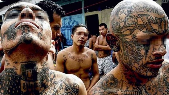 ALERTA MÁXIMA: Así encerró Bukele a 65,000 MARAS salvatrucha en El Salvador