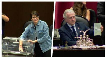 Guadalupe Taddei Zavala, nueva presidenta del INE, en histórico sorteo