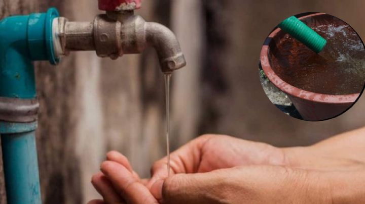 CMAS Xalapa: 57 colonias de la capital tendrán agua solo 8 días de septiembre