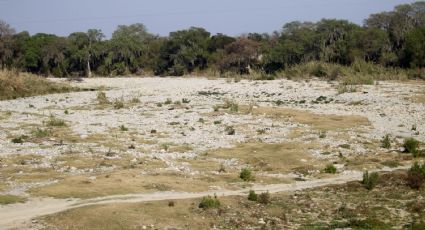 Agua en CDMX, en "condición crítica"; alistan 3 acciones para enfrentar la grave sequía