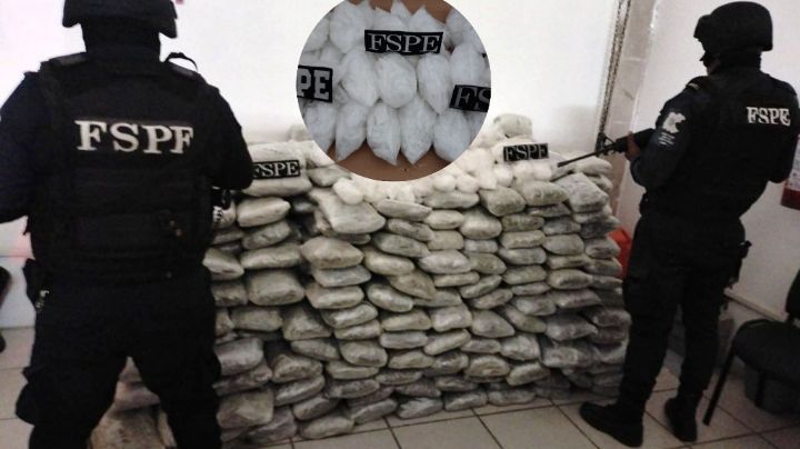 Megadecomiso de droga en Villagrán: 350,000 dosis