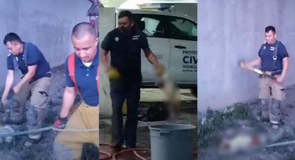VIDEO| Exhiben a bomberos de Monclova por torturar y matar perros