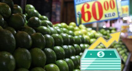 Limón por los cielos; reportan a más de 60 pesos el kilo en La Laguna