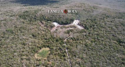 Tren Maya: El nuevo hotel de la Sedena que daña la selva y a su hábitat