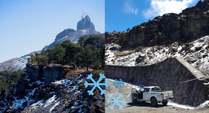 ¿Por nevada en el Cofre de Perote, cerrarán acceso? Esto dicen autoridades