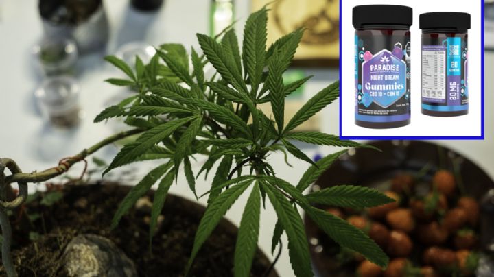 Las gomitas de "mota" que vende Fox en su tienda; entre la innovación y el escándalo