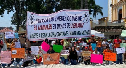 ¿Quién está envenenando animales en Xico? Esto dicen activistas