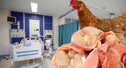 Insabi alista compra de vísceras de pollo para sus enfermos