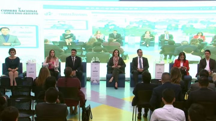 INAI es insustituible, ataques por falta de información: comisionada presidenta