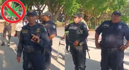 VIDEO: Policía no deja fumar mota a mariguanos en Mérida