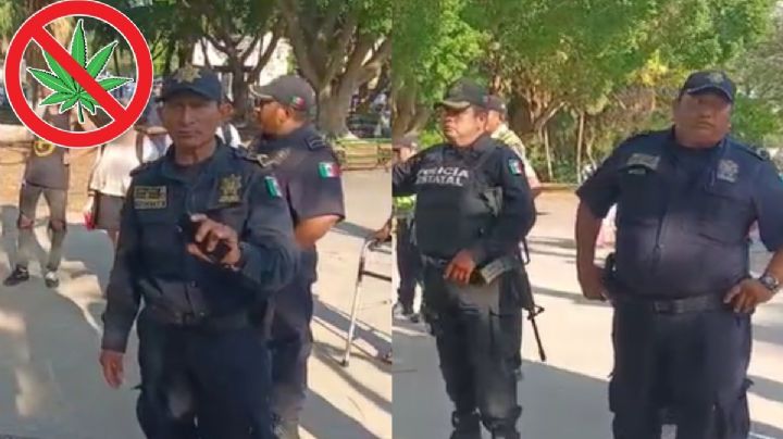 VIDEO: Policía no deja fumar mota a mariguanos en Mérida