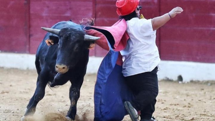 España prohíbe espectáculos con "toreros enanos"