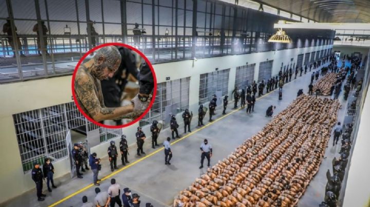 Los Maras Salvatruchas buscan llegar a México con "efecto cucaracha" de Bukele