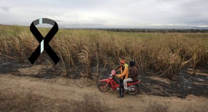 Jesús Santiago, taxista asesinado en Yanga, Veracruz. Esto se sabe